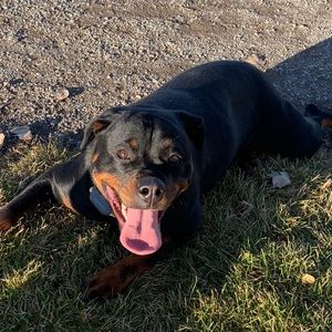 Meet your Posher, Kenneth